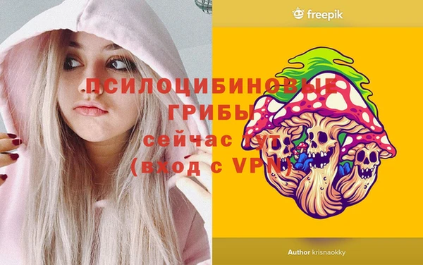 spice Магас