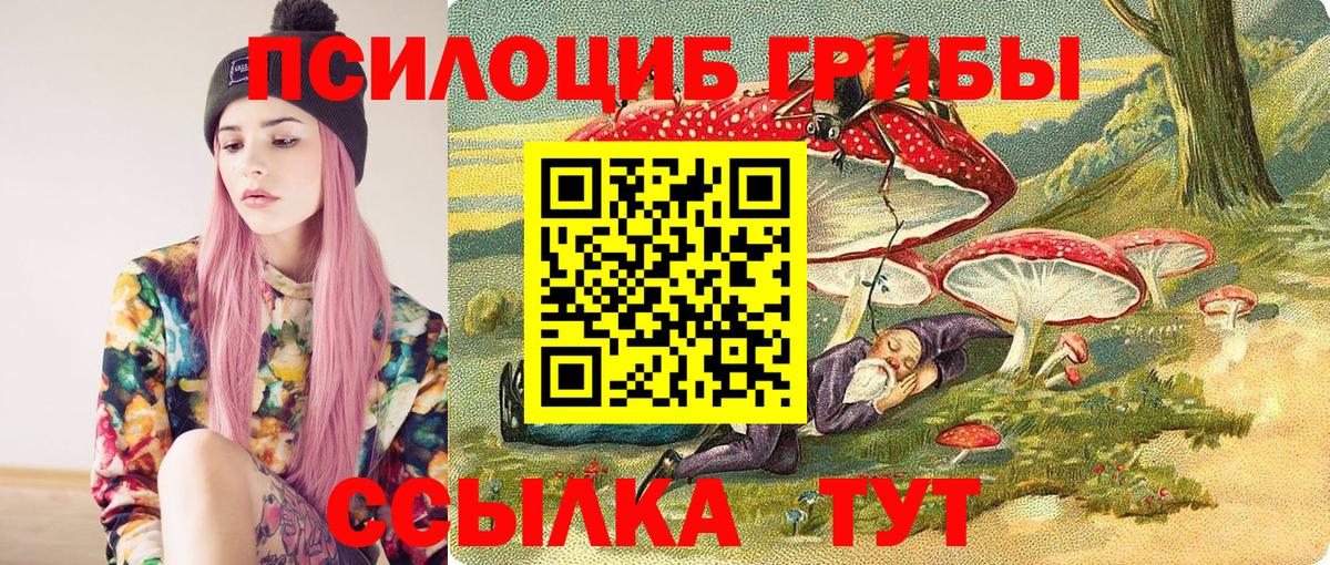 Галлюциногенные грибы Cubensis Тобольск